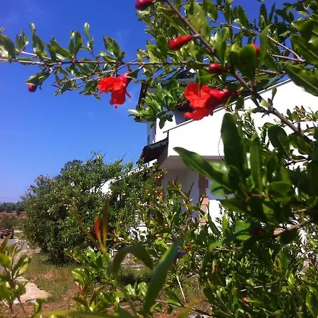 Natural Village Lodge