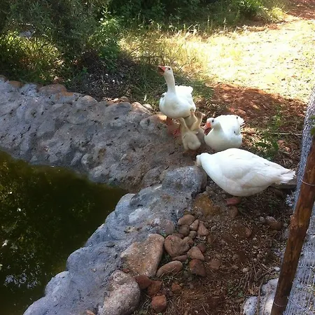 Natural Village Lodge Dalyan